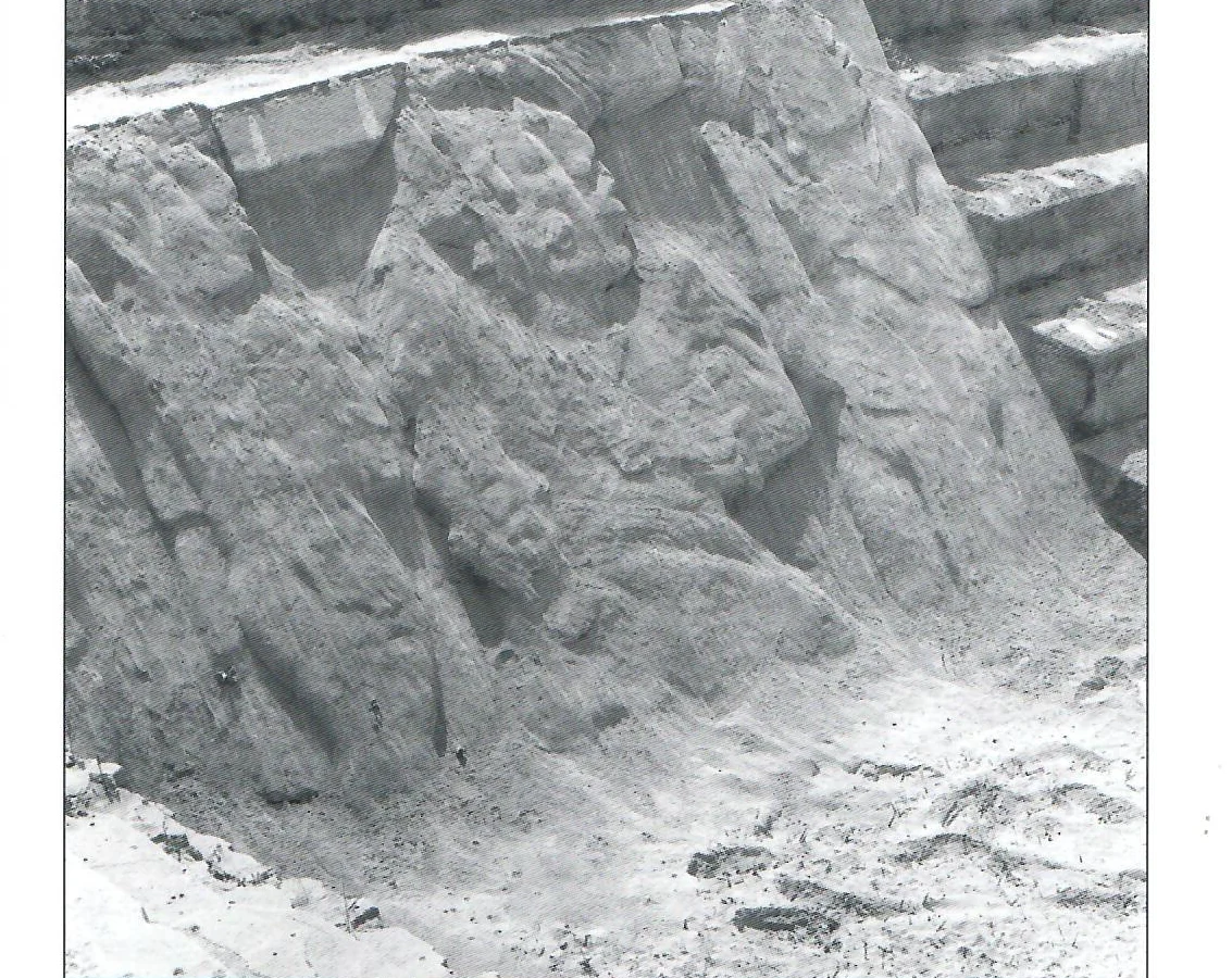 Ashfall covering sculpted reliefs in the Eastern Court at Palenque