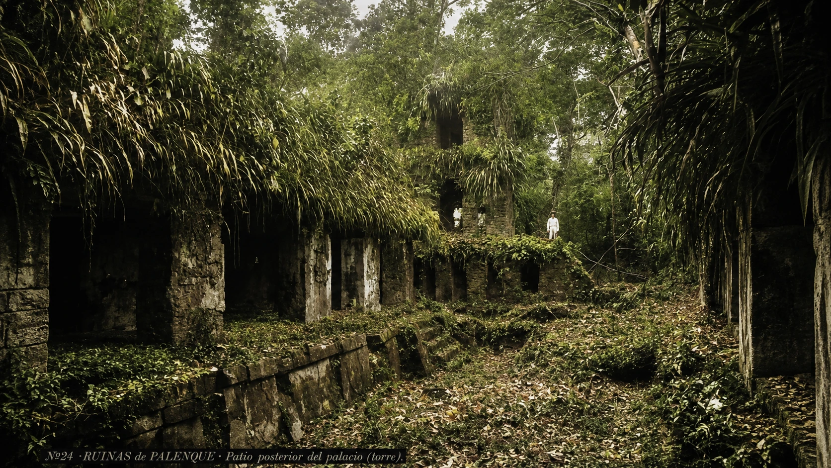 Historische Ansicht des rückwärtigen Hofes des Palastes, überwuchert von Vegetation.
