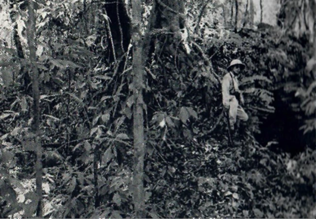 Charnay despejando la selva