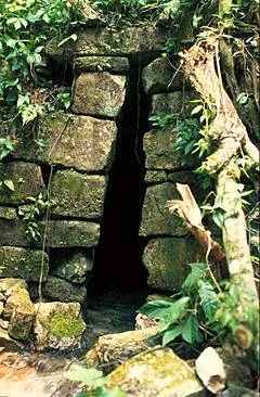 Arco